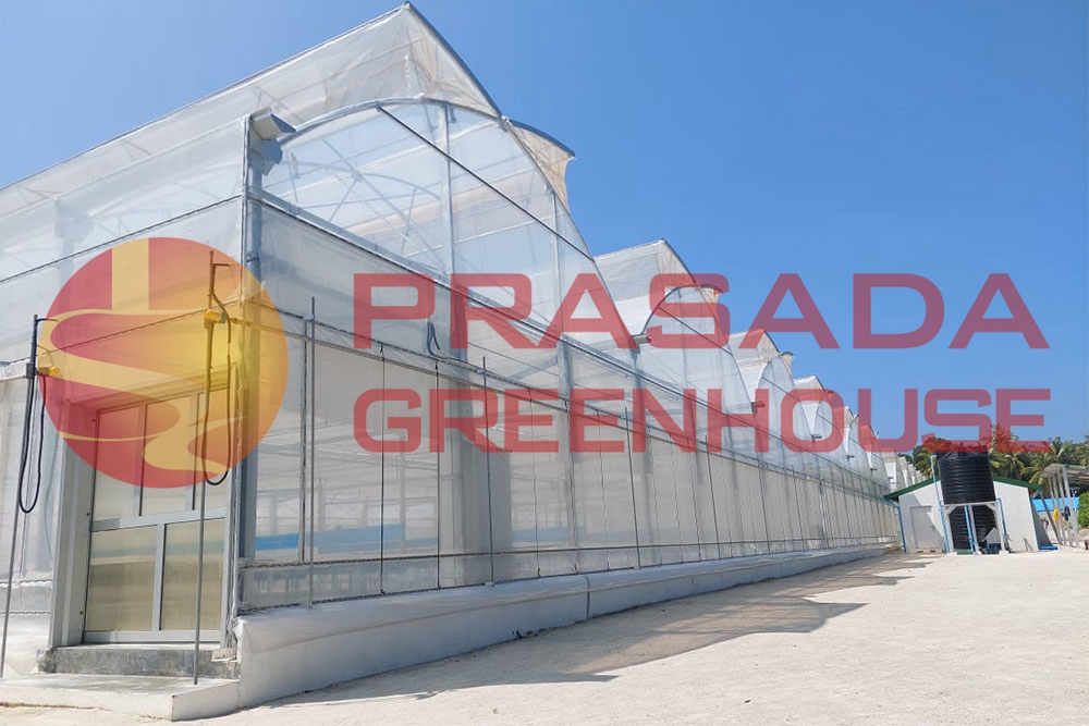 EU-type Film CONSERVATORIUM pro Insulas Oceani Pacifici & Indici - Specimen Solutio pro High Temperature & High Umor Climates