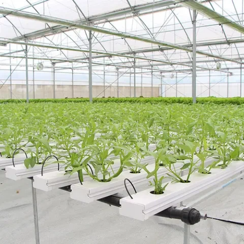 Τι είναι ένα υδροπονικό σύστημα;