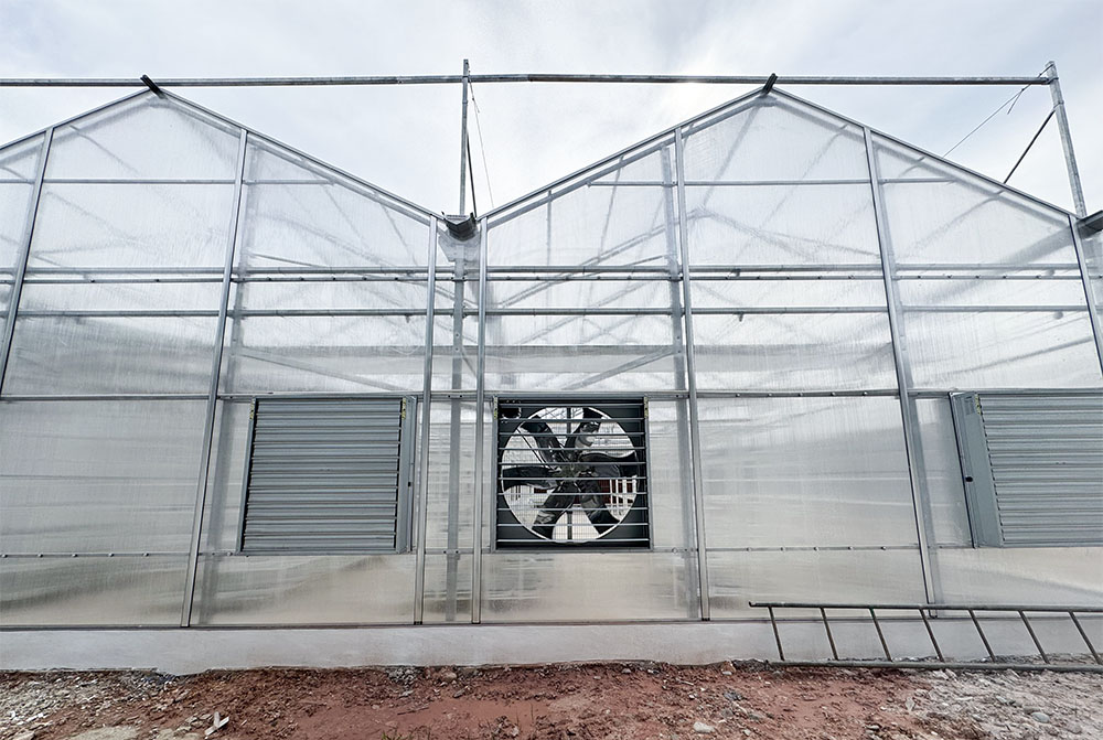 Kipengele Kilichofichwa katika Kudumu kwa Greenhouse ya Kompyuta: Nguvu ya Wasifu wa Kuunganisha Ubora
